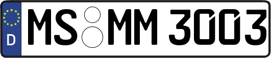 MS-MM3003