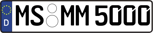 MS-MM5000