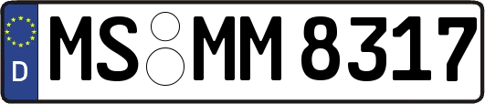 MS-MM8317
