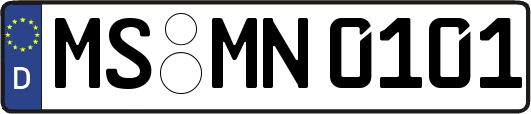 MS-MN0101