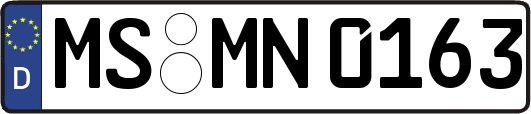 MS-MN0163