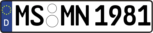 MS-MN1981