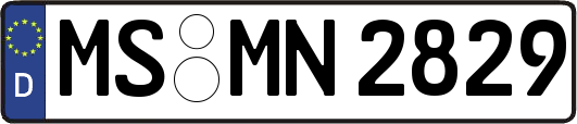 MS-MN2829