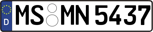 MS-MN5437