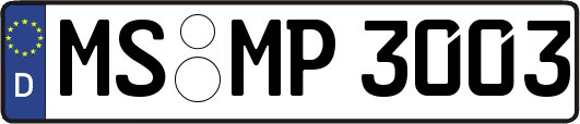 MS-MP3003