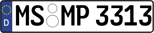 MS-MP3313