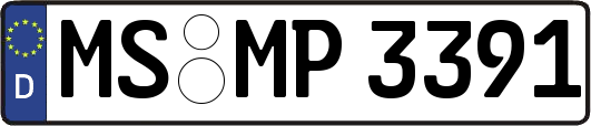 MS-MP3391