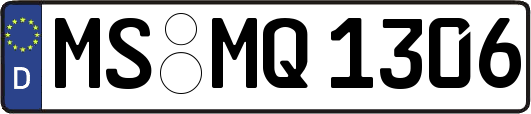 MS-MQ1306
