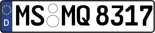 MS-MQ8317