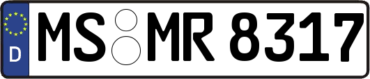 MS-MR8317
