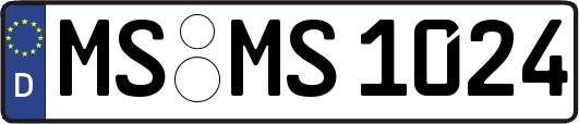 MS-MS1024