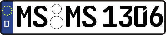 MS-MS1306