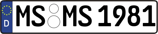 MS-MS1981