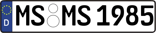 MS-MS1985