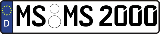 MS-MS2000