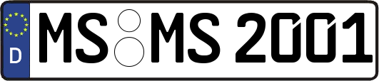 MS-MS2001