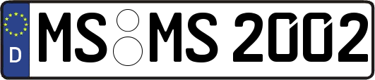 MS-MS2002