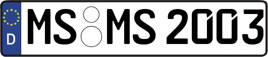 MS-MS2003