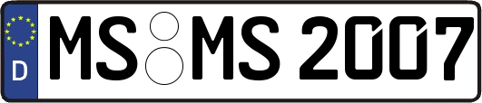 MS-MS2007