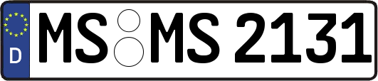 MS-MS2131