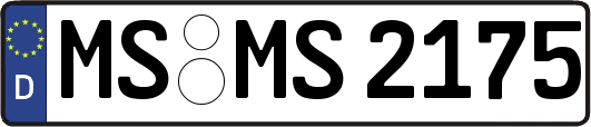 MS-MS2175
