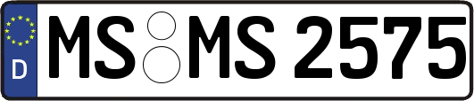 MS-MS2575