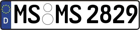 MS-MS2829