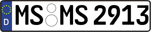 MS-MS2913