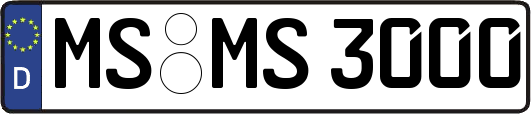 MS-MS3000
