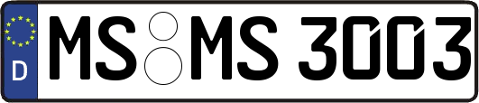 MS-MS3003
