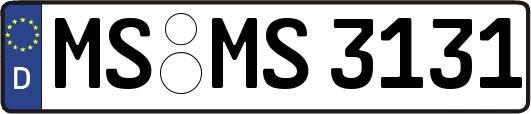 MS-MS3131