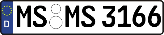 MS-MS3166