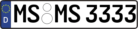 MS-MS3333