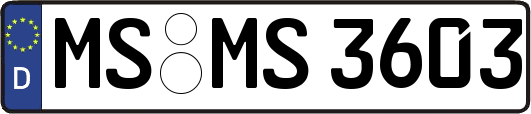 MS-MS3603