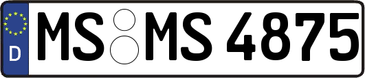 MS-MS4875