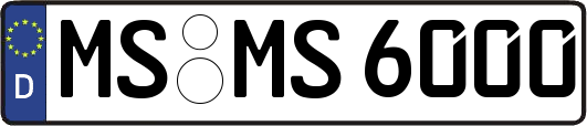 MS-MS6000