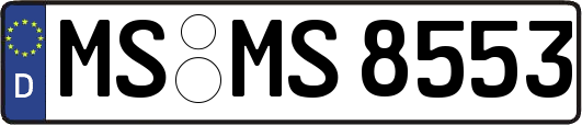 MS-MS8553