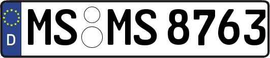 MS-MS8763
