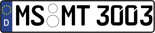 MS-MT3003