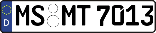 MS-MT7013