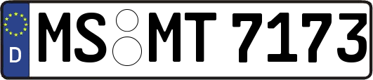 MS-MT7173