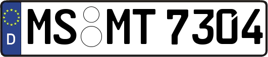 MS-MT7304