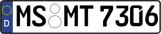 MS-MT7306