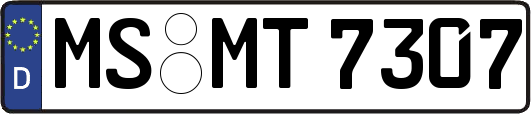 MS-MT7307