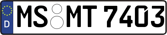 MS-MT7403