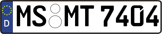 MS-MT7404