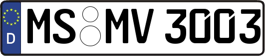 MS-MV3003