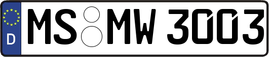 MS-MW3003