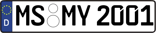 MS-MY2001
