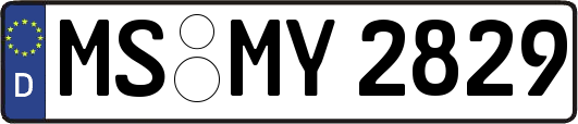 MS-MY2829